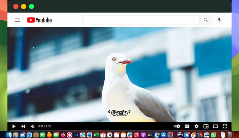 65e6f3b6a0f60-tuneskit-subtitle-editor-2-screenshot1