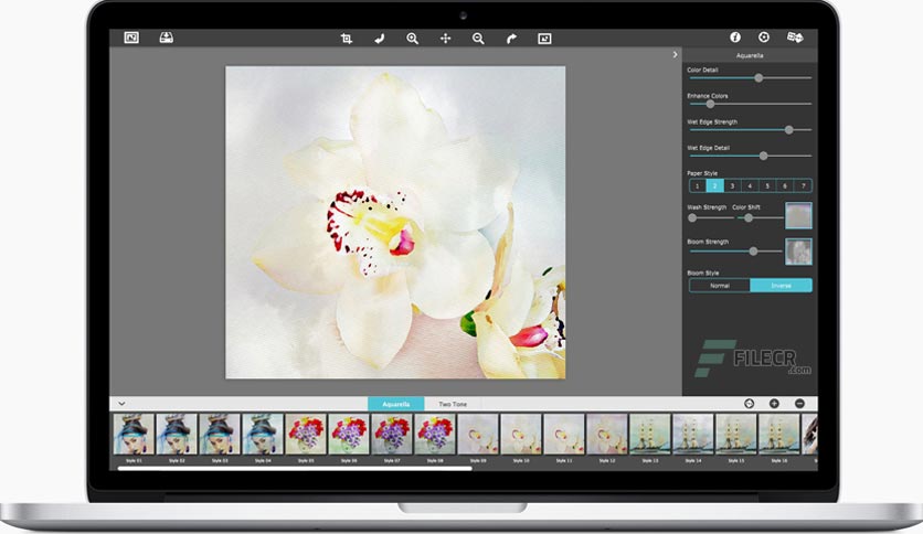 jixipix-premium-pack-for-macos-free-download-02
