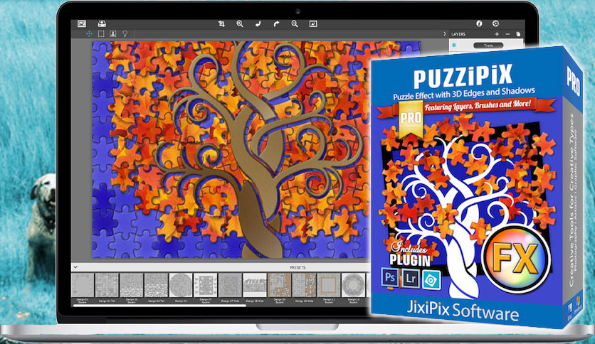 jixipix-puzzipix-pro-for-mac-free-download