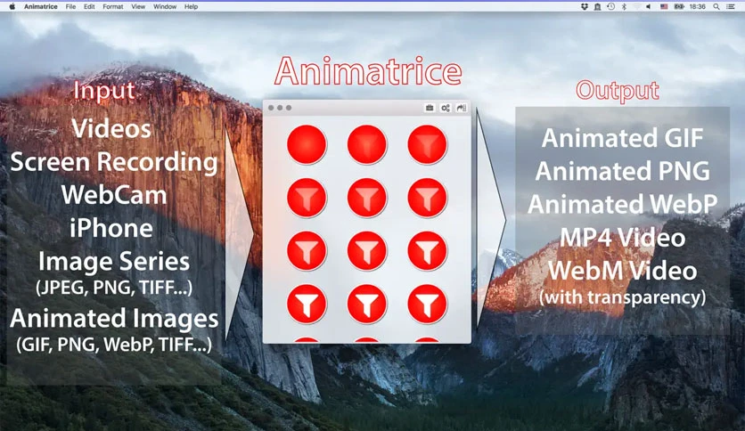66fcf7f57d44c-telethon-animatrice-screenshot1