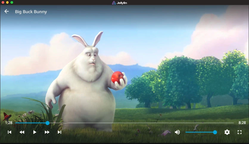 66a0ba1c0e767-jellyfin-media-player-screenshot1