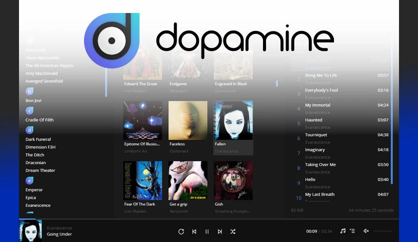 668fb1d53b5a4-digimezzo-dopamine-screenshot1