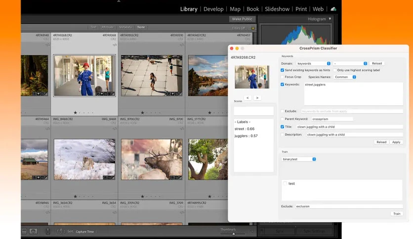 6646eac5b3edf-crossprism-screenshot2