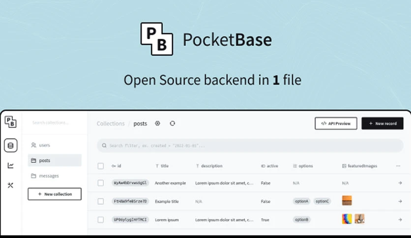 6631e8a493d3e-pocketbase-screenshot1