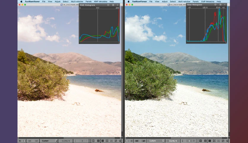 6613610e16eb9-libraw-fastrawviewer-screenshot1