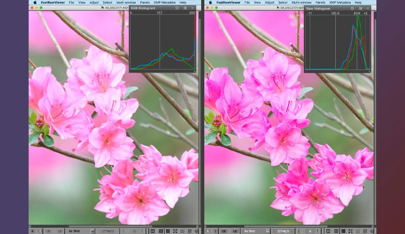 66136110105d9-libraw-fastrawviewer-screenshot3
