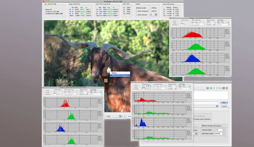 66135715c6d21-libraw-rawdigger-screenshot3
