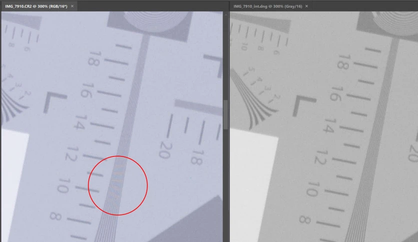 66124ca030a7c-libraw-monochrome2dng-screenshot1