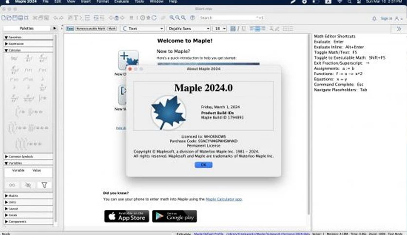 65eeaa6deba58-maplesoft-screenshot2