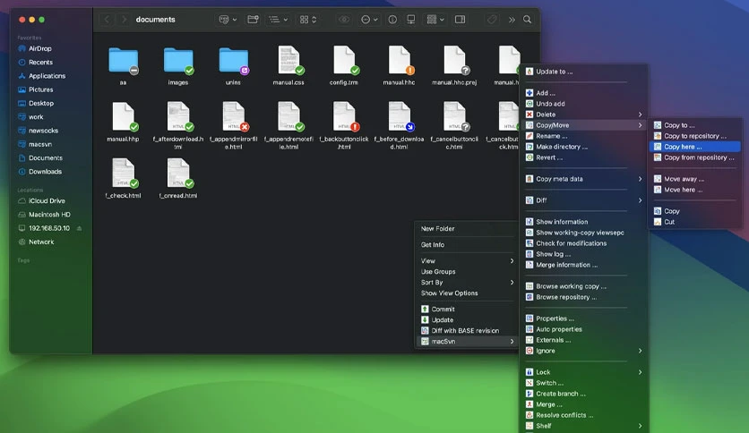 65e1b93407bdc-macsvn-screenshot6