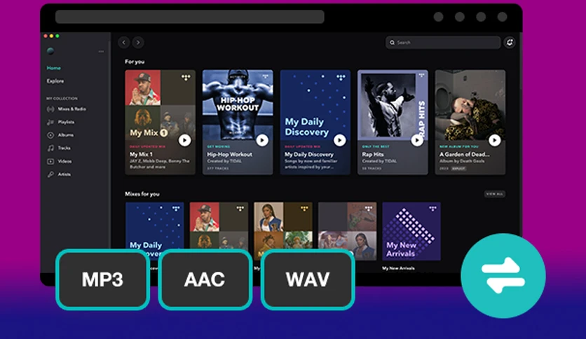 659be77528f6c-viwizard-tidal-music-converter-screenshot2