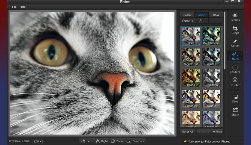 65e1c5d43dc09-fotor-2-screenshot1