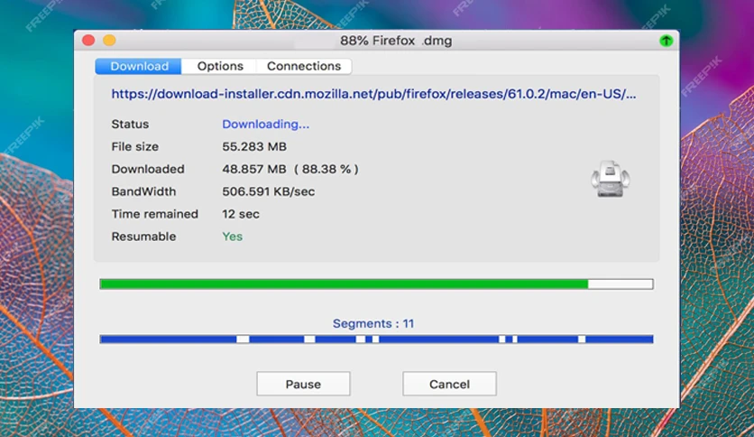 65683e584dea6-neat-download-manager-screenshot2
