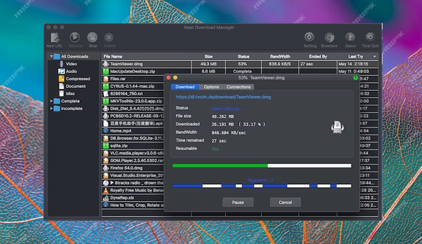 65683e5f3bf87-neat-download-manager-screenshot3