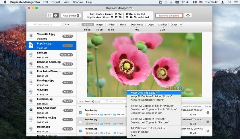 duplicate-manager-pro-for-macos-free-download-02
