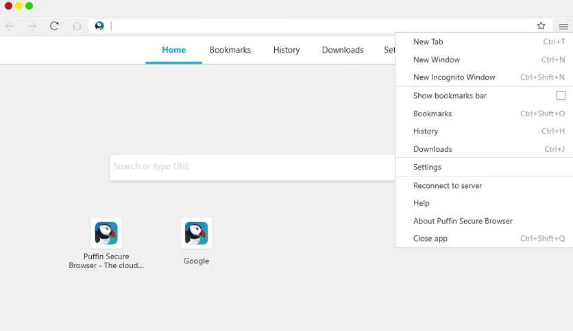 6583fc16d9227-puffin-secure-browser-screenshot1