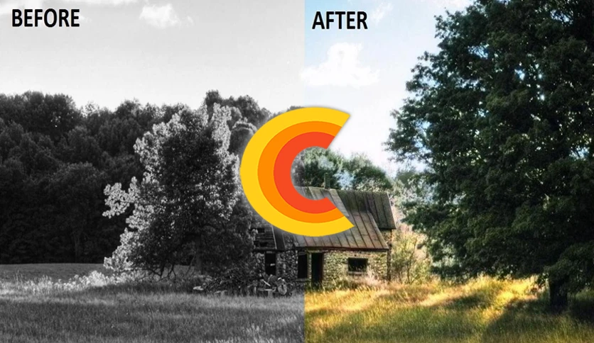 65892bd7c0350-pixbim-colorsurprise-ai-screenshot1