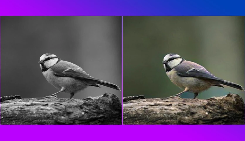 65892bd74c989-pixbim-colorsurprise-ai-screenshot2