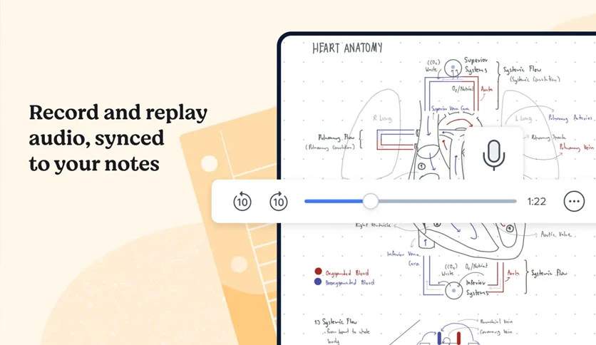 65eea48c17a12-notability-FeatureImage
