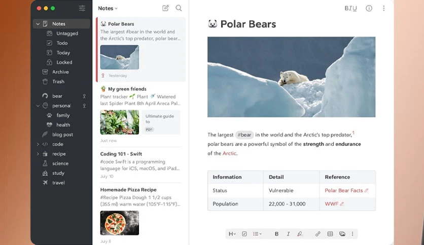 65e06d6bae0ce-shiny-frog-bear-notes-screenshot1