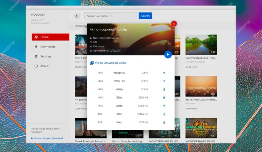 6568584392307-videoder-mac-screenshot2