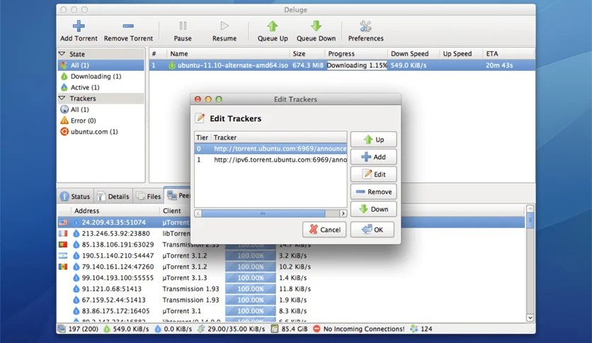 65672adba22c9-deluge-bittorrent-client-screenshot2