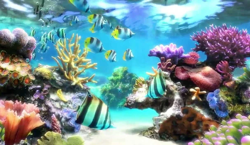654b68c0dc09e-aquarium-live-hd-screensaver-screenshot1