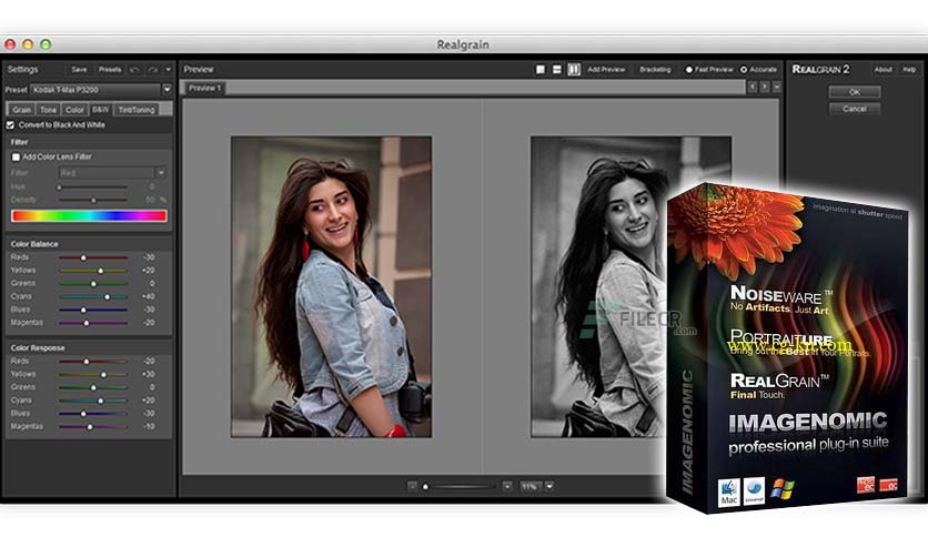 imagenomic-realgrain-for-ps-free-download-01