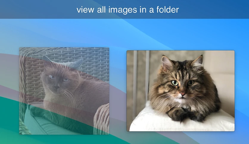 6527eecb47fa7-lilyview-screenshot2