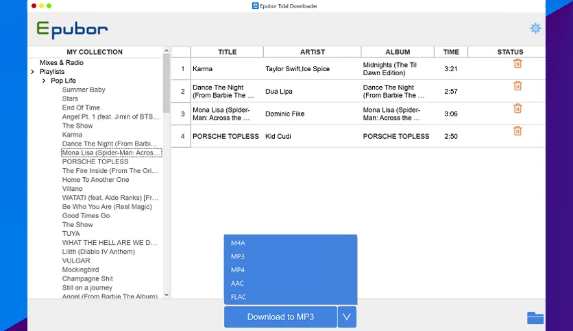 65a4f05e3362c-epubor-tidal-downloader-screenshot1