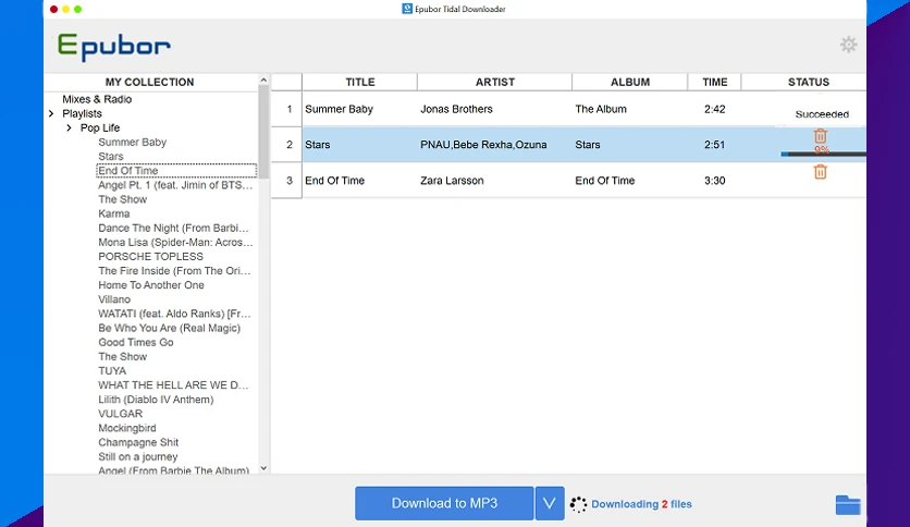 65a4f05df2600-epubor-tidal-downloader-screenshot2