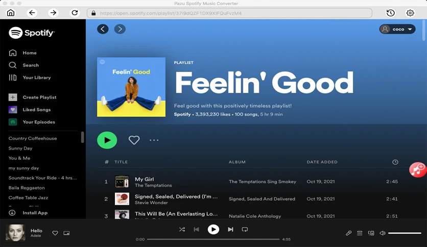 65a518f068d22-pazu-spotify-music-converter-screenshot5