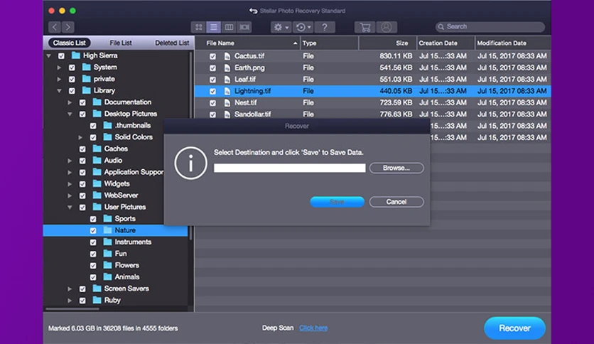 656dafd5d7859-stellar-photorecovery-screenshot2