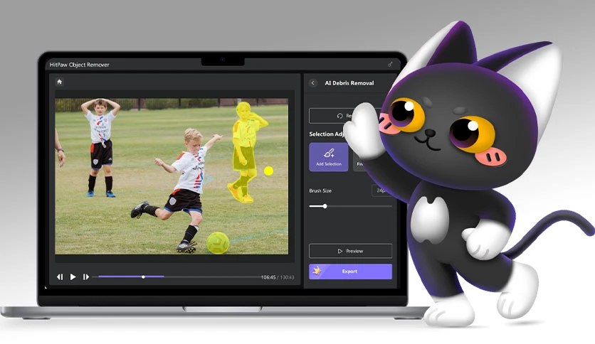 64b917248b8a9-hit-paw-video-object-remover-screenshot2