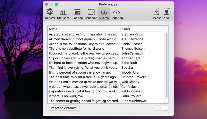 focus-free-for-macos-download-2