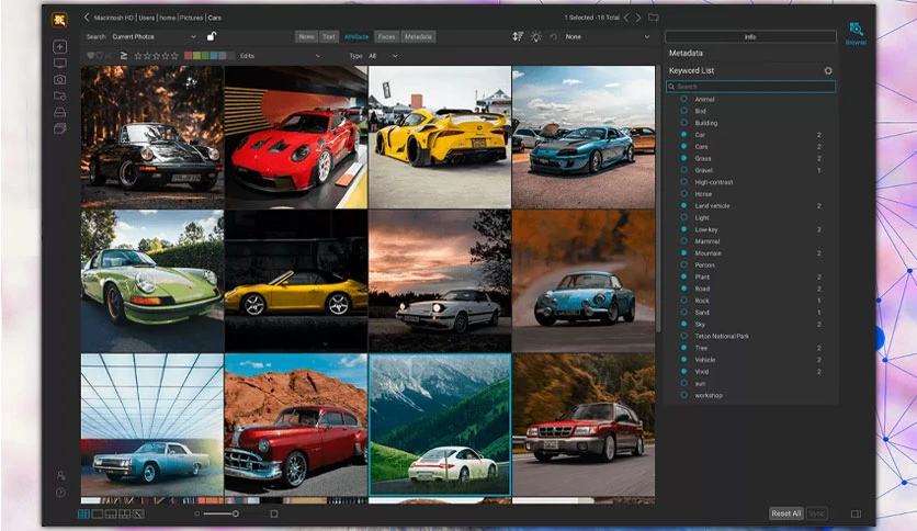 649133dfe30e7-photo-keyword-ai-by-on1-screenshot2