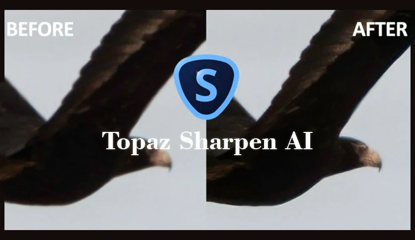 64b141316355c-topazlabs-sharpen-ai-screenshot1