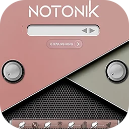 Notonik-VST NOTONIK for Mac [100 种精心制作的和弦音色，助您创作节拍]