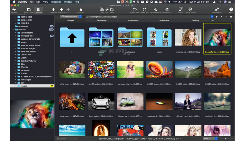 zgallery-image-viewer-for-macos-free-download-01