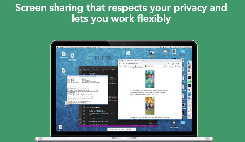 screegle-clean-screen-sharing-for-macos-free-download-01