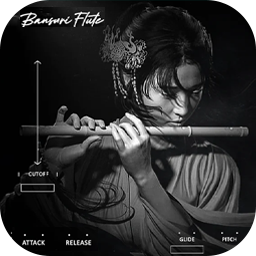 Infinite Audio Bansuri Flute for Mac [一款高品质且功能多样的虚拟班苏里笛乐器]