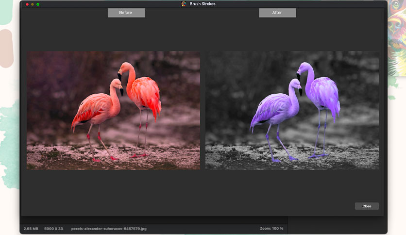 splash-n-recolor-for-mac-free-download-3