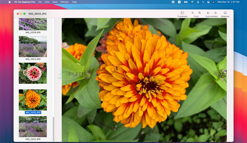 fe-file-explorer-pro-for-macos-free-download-03