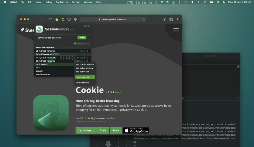 sessionrestore-for-safari-for-macos-free-download-01