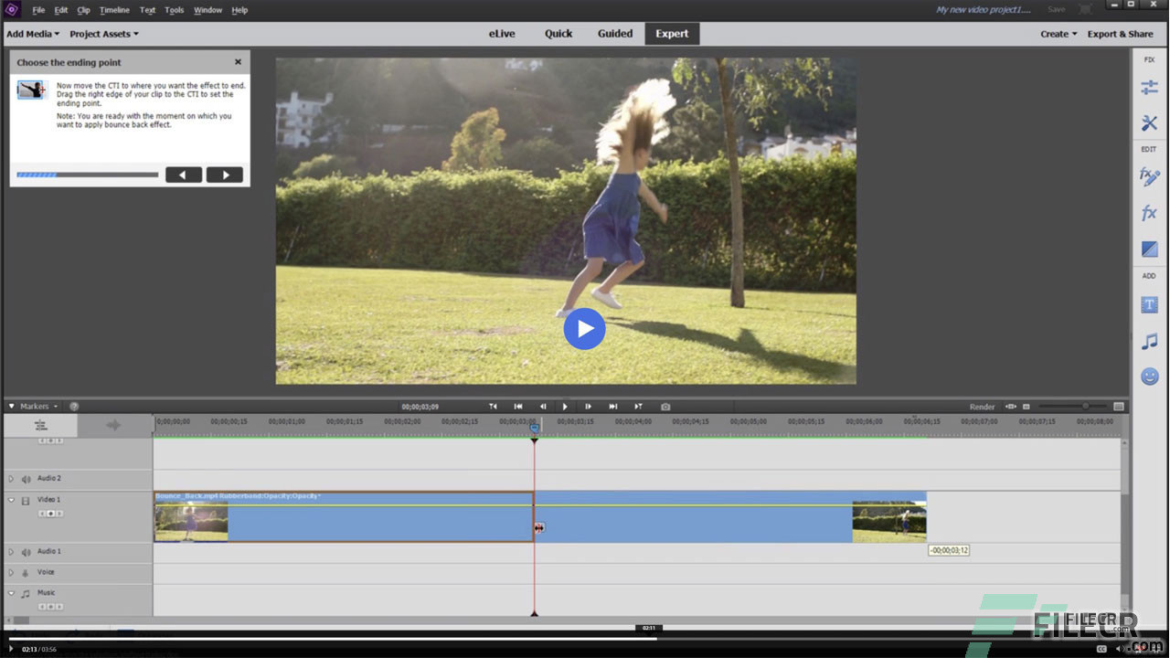 Scr2_Adobe-Premiere-Elements_Free-download