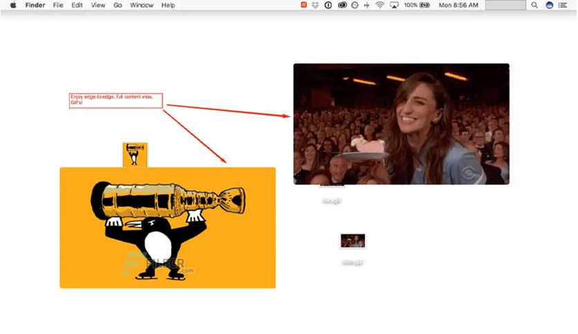 dotgif-for-macos-free-download-01