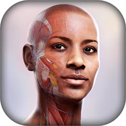 Complete Anatomy for Mac [全球最先进的3D解剖平台]