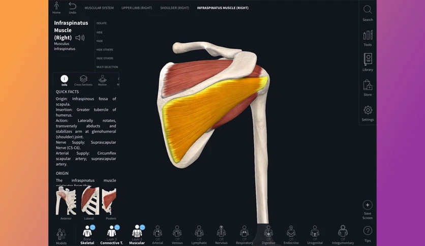 69f4426f38699-complete-anatomy-screenshot2