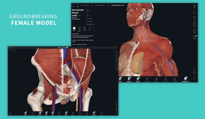 69f44270ddc48-complete-anatomy-screenshot4