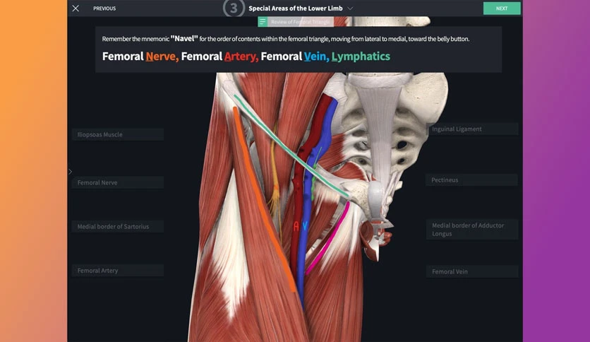 69f4426ee57d2-complete-anatomy-screenshot1